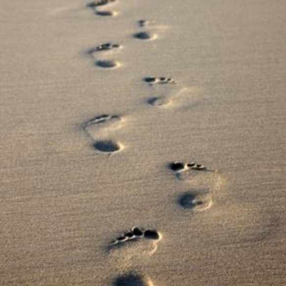 Meet your Posher, Sally - Picture 1 of 1